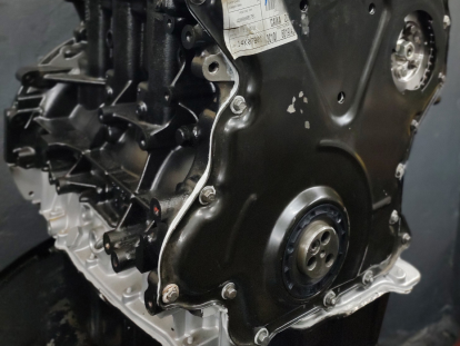 IMG_20230812_195437808_MF_PORTRAIT